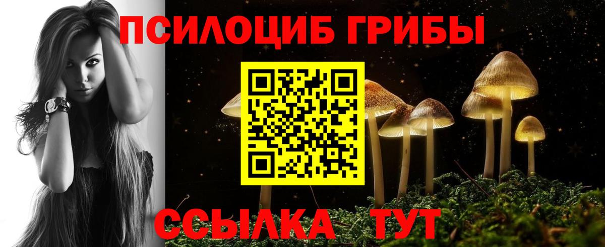 Волгоград  Галлюциногенные грибы Psilocybine cubensis  Вход с VPN  хочу   Галлюциногенные грибы Psilocybine cubensis 