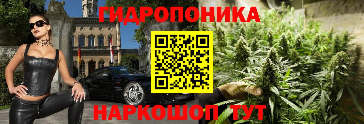 Канабис ГИДРОПОН Волгоград